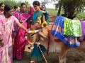 अहो आश्चर्यम ! वाल्हे येथे केले गाईचे डोहाळे जेवण साजरे  - Marathi News | Cow's baby shower function celebrated in Walhe | Latest pune News at Lokmat.com