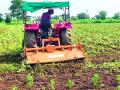 १० एकरातील सोयाबीन पिकावर फिरविले रोटाव्हेटर - Marathi News | Rotavator rotated on 10 acre soybean crop | Latest vardha News at Lokmat.com