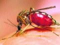 नाशकात डेंग्यूचा प्रकोप - Marathi News |  Dengue outbreak in Nashik | Latest nashik News at Lokmat.com