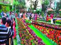 ‘फ्लॉवर्स-शो’ला पुष्पप्रेमींची लोटली गर्दी - Marathi News | 'Flowers-Show'-The Lotus Riot of Flowers | Latest nashik News at Lokmat.com