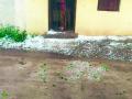 अवकाळी पावसाने झोडपले, बाभूळगावमध्ये गारपीट - Marathi News | Untimely rains, hailstorm in Babhulgaon | Latest yavatmal News at Lokmat.com