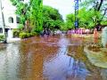 येथे साचते पावसाचे पाणी ! - Marathi News |  Rain water here! | Latest nashik News at Lokmat.com
