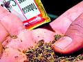 महिलांमध्ये वाढतेय तंबाखू सेवानाचे प्रमाण - Marathi News | The number of tobacco additives increases in women | Latest bhandara News at Lokmat.com
