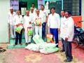 मका बियाणे घोटाळा - Marathi News | Maca Seeds Scam | Latest nashik News at Lokmat.com
