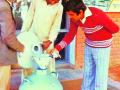 दररोज २७ हजार लिटर दुधाची आयात - Marathi News | Import of 27 thousand liters of milk per day | Latest chandrapur News at Lokmat.com