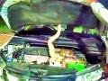 कारच्या बोनेटमध्ये शिरला अजगर - Marathi News | The dragon crawled into the bonnet of the car | Latest chandrapur News at Lokmat.com