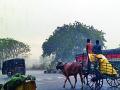 जिल्ह्यात दमदार बसरला - Marathi News | Besrla strong in the district | Latest chandrapur News at Lokmat.com