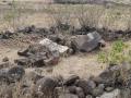 किल्ल्यांवरील खोदाईमुळे ऐतिहासिक वास्तूंची होतेय हानी! - Marathi News | Excavations on forts cause damage to historical monuments! | Latest nashik News at Lokmat.com