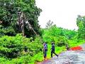 १५ गावांचा वीज पुरवठा खंडित - Marathi News | Power outage in 15 villages | Latest gadchiroli News at Lokmat.com