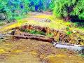 चव्हेला मार्गाची दुर्दशा - Marathi News | Plight of the Chawla Road | Latest gadchiroli News at Lokmat.com