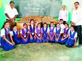 भोसा शाळेच्या विद्यार्थ्यांनी तयार केली सीड बँक - Marathi News | Seed bank prepared by Bhosha school students | Latest gondia News at Lokmat.com