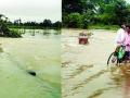जिल्ह्यात पावसाची संततधार सुरूच - Marathi News | The continuous increase of rain in the district | Latest gondia News at Lokmat.com