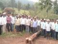 तोडलेल्या झाडांजवळ ग्रामस्थांनी मांडला ठिय्या - Marathi News | The villagers sit near the felled trees | Latest nashik News at Lokmat.com
