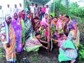 वृक्षारोपणाद्वारे जपल्या ‘त्या’ महिलांच्या स्मृती - Marathi News | Remembrance of 'those' women, which are preserved by plantation | Latest nashik News at Lokmat.com
