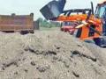 टेंभे शिवारात हजार ब्रास वाळू जप्त - Marathi News | Thousands of brass sand seized in Tambhe Shivar | Latest nandurbar News at Lokmat.com