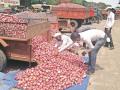 मालेगावी शेतकऱ्याची न्यायासाठी धावाधाव - Marathi News | Malegaon farmers rush for justice | Latest nashik News at Lokmat.com