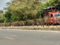 महामार्गावरील झाडांनाही दुष्काळाची झळ - Marathi News | The trees on the highway also suffer from famine | Latest nashik News at Lokmat.com
