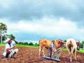 जिल्ह्यात ८५ शेतकºयांच्या आत्महत्या - Marathi News | Suicides of 85 farmers in the district | Latest nashik News at Lokmat.com