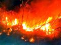 सिंदी येथे शेतातील ऊसाला आग - Marathi News | Sugarcane fire in the field at Sindi | Latest yavatmal News at Lokmat.com