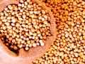 खुल्या बाजारात सोयाबीनचे दर घसरले - Marathi News | Soybean prices fell in the open market | Latest yavatmal News at Lokmat.com