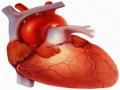 ताण-तणावामुळे तरुणांना बसतोय हृदयरोगाचा ‘झटका’ - Marathi News |   Stress causes young people to suffer 'heart attack' | Latest nashik News at Lokmat.com