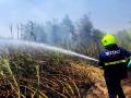 दीड एकरवरील ऊस जळून खाक - Marathi News | Burning sugarcane half acre | Latest chhatrapati-sambhajinagar News at Lokmat.com