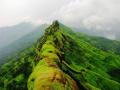 भटकंती; मोहीम फत्ते... किल्ले राजगड - Marathi News | Wandering; The campaign is ... the castle Rajgad | Latest nagpur News at Lokmat.com