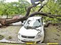 झाडे पडली; सहा जखमी  घरात पाणी शिरले - Marathi News | The trees fell; Water was found in six injured homes | Latest nagpur News at Lokmat.com