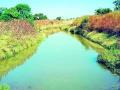 कालव्याचे पाणी नदी-नाल्यांत धामणगावात सिंचनाचे तीनतेरा - Marathi News | Irrigation of canal water in rivers and streams in Dhamangaon | Latest amravati News at Lokmat.com