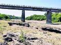पूर्णा नदीचे पात्र कोरडेठण्ण चांदूरबाजार तालुक्यात धग - Marathi News | Purna river of Chandur Bazaar taluka dried | Latest amravati News at Lokmat.com