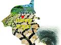 अचलपूर तालुक्याचा भूजलस्तर विदर्भात सर्वात कमी - Marathi News | The lowest water level in Achalpur taluka is lowest in Vidarbha region | Latest amravati News at Lokmat.com