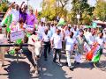 शहर काँग्रेसचा बैलबंडी मोर्चा - Marathi News | City Congress Ballbandi Front | Latest amravati News at Lokmat.com