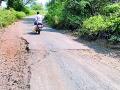 भिलेवाडा-खडकी रस्ता भोगतोय मरणयातना - Marathi News | Bhilewada-Khadki road passes away | Latest bhandara News at Lokmat.com