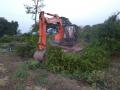 तेल्या, मर रोगाला कंटाळून जेसीबीने तोडली डाळिंब बाग - Marathi News | JCB breaks up pomegranate orchard | Latest nashik News at Lokmat.com