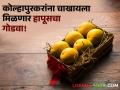 कोल्हापुरकरांनो आता घ्या हापूसचा आनंद! १९ मे पासून भरणार पणनचा आंबा महोत्सव - Marathi News | Kolhapurkars now enjoy Hapus! Mango festival held in your city; Buy from farmers | Latest agriculture News at Lokmat.com