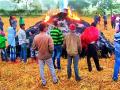 धानाचे पुंजणे आगीत भस्मसात - Marathi News | Rice burns in flames | Latest chandrapur News at Lokmat.com