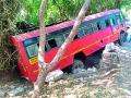 एसटी बस पहाडावरून घसरली - Marathi News | The ST bus has dropped from the hill | Latest chandrapur News at Lokmat.com