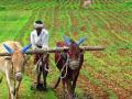 जादा दराने खत विक्री केल्यास कारवाई - Marathi News | Action if fertilizer is sold at excess rate | Latest nashik News at Lokmat.com