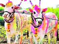 यांत्रिकीकरणाने मंदावली बैलांची पावले - Marathi News | The mechanization has led to the slowdown of bulls | Latest gadchiroli News at Lokmat.com