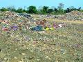 दररोज २४ टन कचऱ्याची भर - Marathi News | 24 tonnes of waste daily | Latest gadchiroli News at Lokmat.com