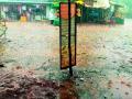 शेतकऱ्यांवर गारपीट, पुन्हा निसर्ग कोपला - Marathi News | Hail on farmers, nature angry again | Latest gondia News at Lokmat.com