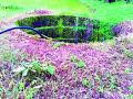 विहिरींवर लोखंडी कठडे बसविलेच नाही - Marathi News | Iron clay has not been installed on wells | Latest gondia News at Lokmat.com
