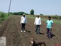 येवला तालुक्‍यात १६ हजार हेक्टरवरील पिकांना फटका - Marathi News | Crops on 16,000 hectares hit in Yeola taluka | Latest nashik News at Lokmat.com