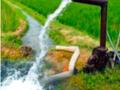 कृषीपंप बिलाची अडीचशे कोटी व्याज सूट - Marathi News | Two and a half crore interest rebate on agricultural pump bill | Latest nandurbar News at Lokmat.com