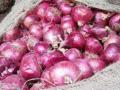 बाजार समितीत होणार कांद्याचा स्वतंत्र बाजार - Marathi News | There will be an onion market in the market committee | Latest nandurbar News at Lokmat.com