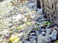 पाचोरा शहरात स्वच्छतेचे तीनतेरा - Marathi News | Three types of cleanliness in Pachora city | Latest jalgaon News at Lokmat.com