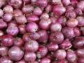 लासलगावी गत सप्ताहात १ लाख क्विंटल कांद्याची आवक - Marathi News | 1 lakh quintals of onions arrived in Lasalgaon last week | Latest nashik News at Lokmat.com