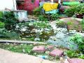 सिंधुदुर्ग : मालवण बंदरजेटी परिसरात दुर्गंधी, पर्यटकांनाही त्रास - Marathi News | Sindhudurg: Badlands in Malvan Portajeti area, tourists also harassed | Latest sindhudurga News at Lokmat.com