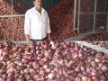 अज्ञात इसमाकडून चाळीत युरिया खत टाकल्याने कांदा सडला - Marathi News | The onion rotted due to application of urea fertilizer from an unknown Isma | Latest nashik News at Lokmat.com