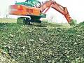 सहा माती नाल्यांचे निकृष्ट बांधकाम - Marathi News | Deficit construction of six soil drains | Latest yavatmal News at Lokmat.com
